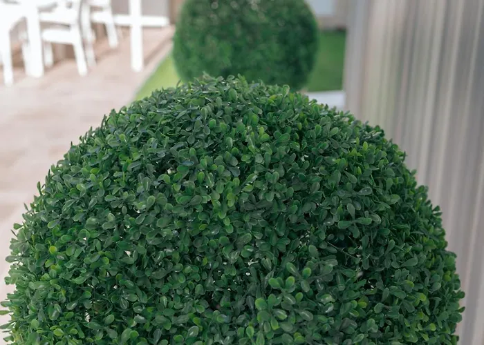 Lara Boutique * Eforie Nord