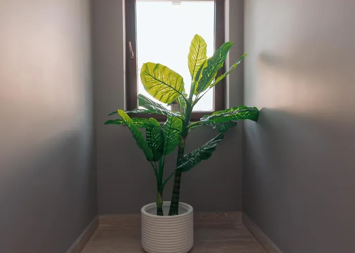 Pansiyon Lara Boutique