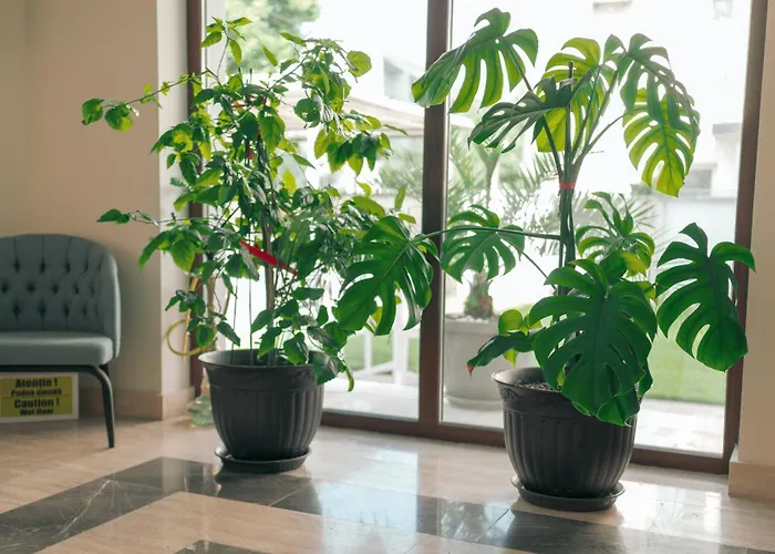 Pansiyon Lara Boutique *