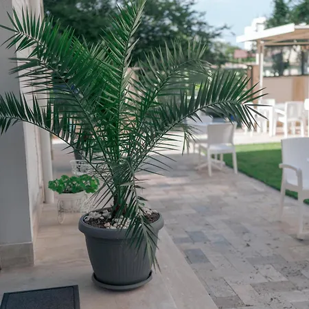 Accommodatie bij particulieren Lara Boutique Eforie Nord