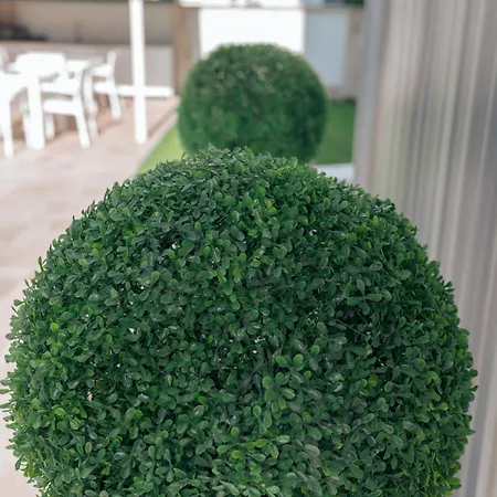 Lara Boutique * Eforie Nord